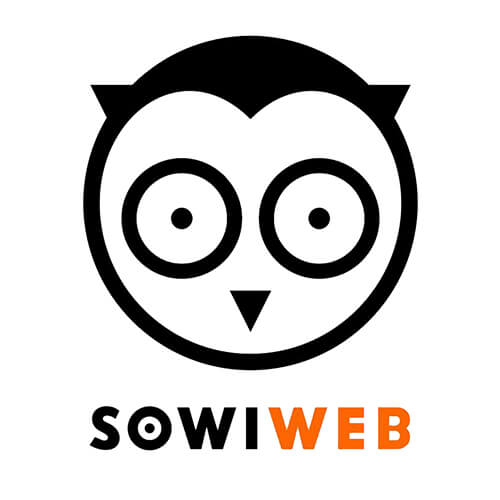 SowiWeb